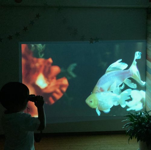 【まお】ポップインアラジン 楽天市場】ポップ イン アラジンの通販