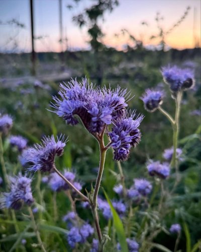 Carousel post from finnriver.
