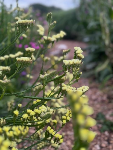 Photo post from sussexprairies.