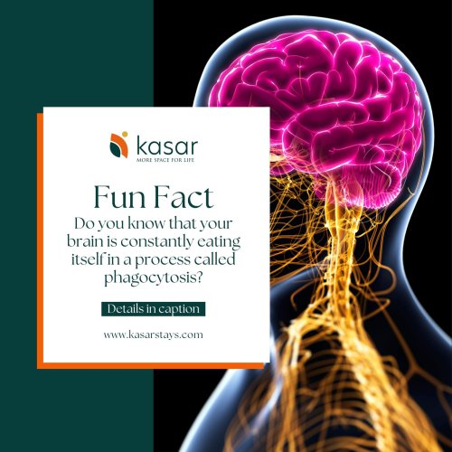 Photo post from kasarstays.