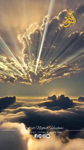 Video post from nighathashmi.