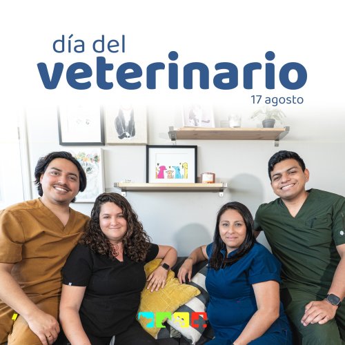 Photo post from medicalpettj.