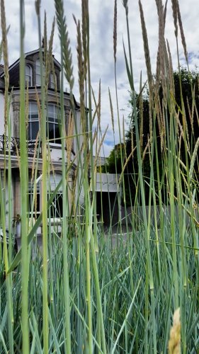 Video post from hotelvaratruro.