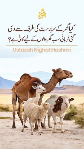 Video post from nighathashmi.