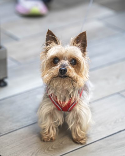 Carousel post from medicalpettj.