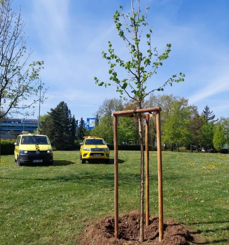 Carousel post from pracenaletisti.