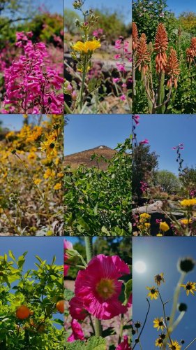 Video post from visittucson.