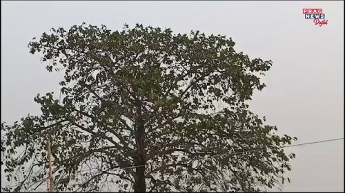 Video post from pragnewsofficial.