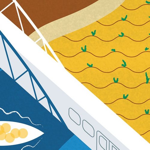 Photo post from unops_official.