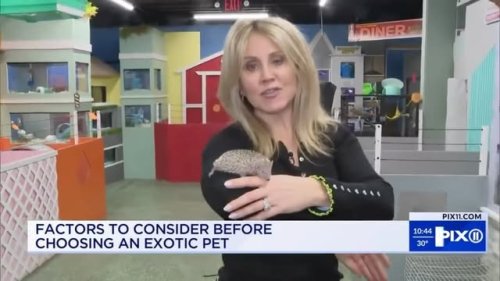 Video post from njexoticpets.