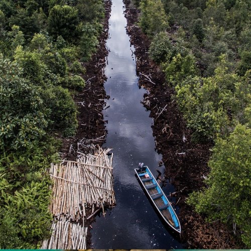 Photo post from unops_official.