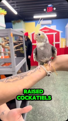 Video post from njexoticpets.
