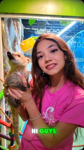 Video post from njexoticpets.