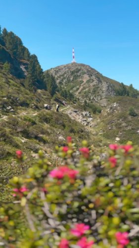 Video post from innsbrucktourism.