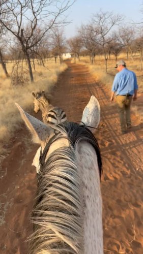 Video post from marina_tavs.