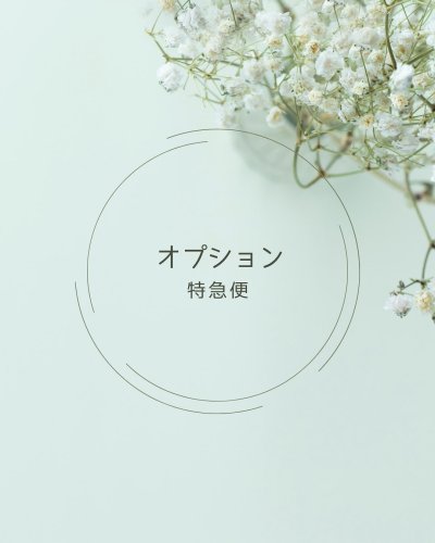 Latest photo