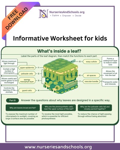 Photo post from nurseriesandschoolsorg.