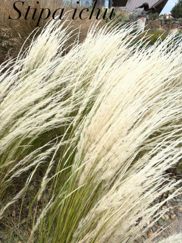 Photo post from gardenhousebrighton.
