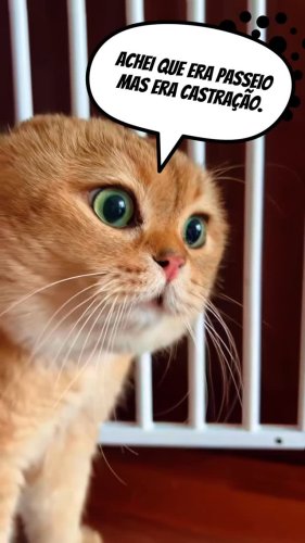 Video post from ananindeuapma.