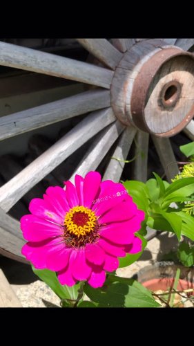 Video post.