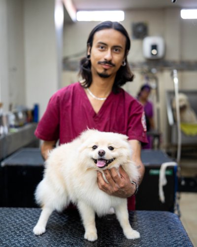 Photo post from medicalpettj.