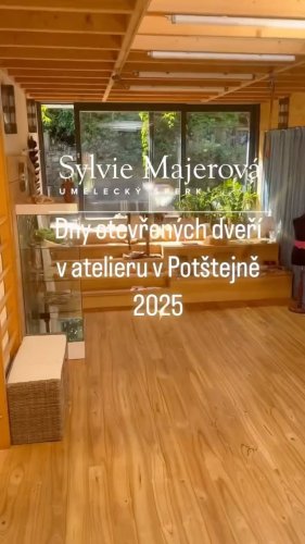 Video post from sylviemajerova.