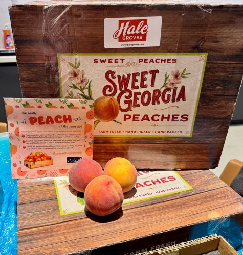 Photo post from american_re_partners.