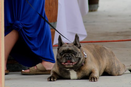 Carousel post from keukalakewinetrail.