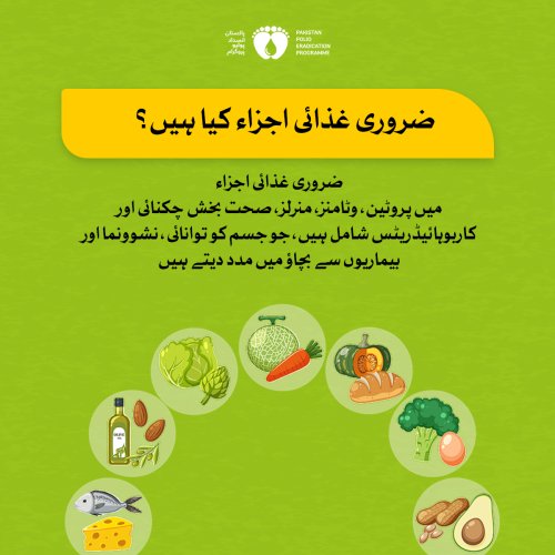 Carousel post from pakfightspolio.