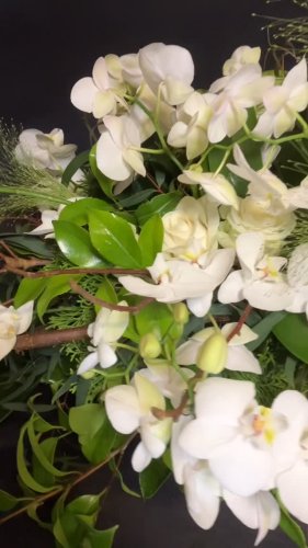 Video post from dellemannbloemen.