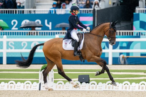 Photo post from fei_global.