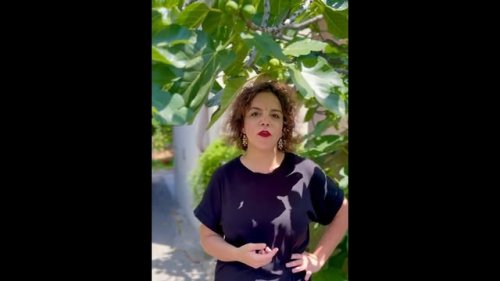 Video post from dubrovnikfestival.