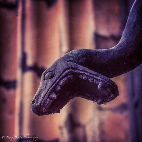 Photo post from visit.magdeburg.