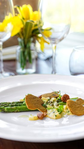 Video post from themoathouse.