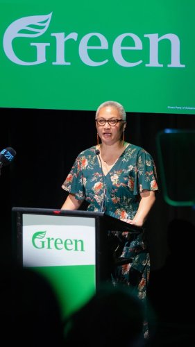 Video post from nzgreenparty.