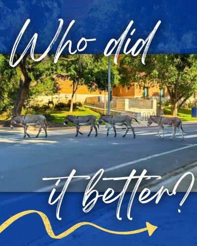 Carousel post from ucrbcoe.