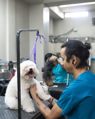 Photo post from medicalpettj.