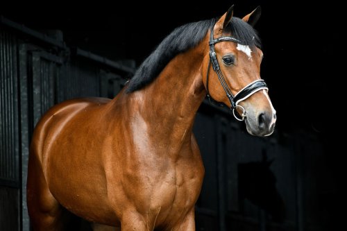 Photo post from fei_global.