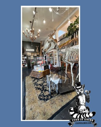 Photo post from denfringe.