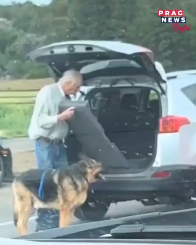 Video post from pragnewsofficial.