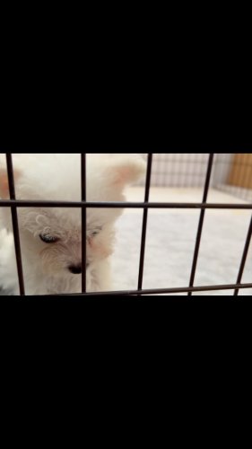 Video post.