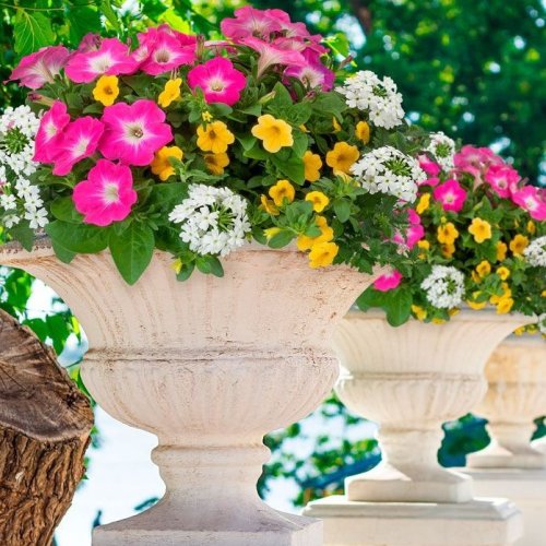 Photo post from waysidegardens.