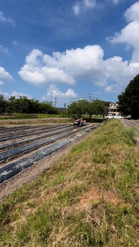 Video post.