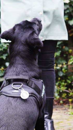 Video post from belkin_uk.