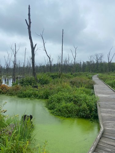 Carousel post from dailydunez.