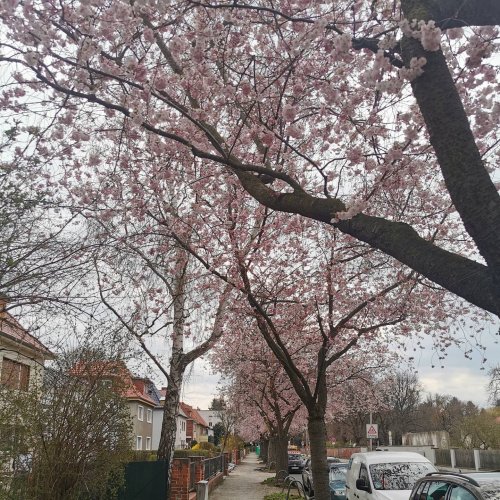 Photo post from visit.magdeburg.