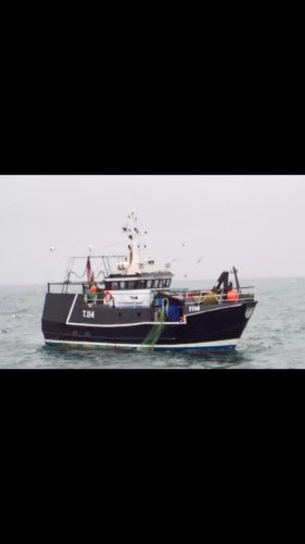 Video post from dinglepeninsulatourism.