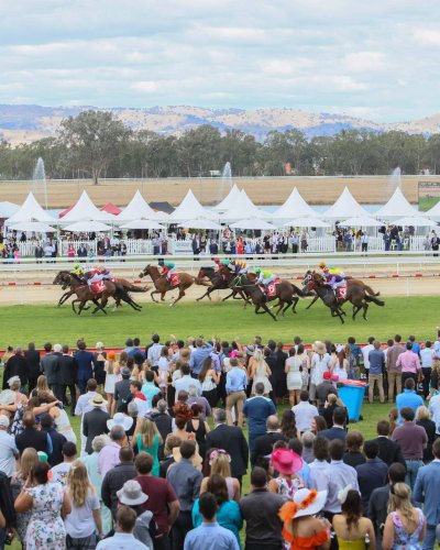 Photo post from alburycity.