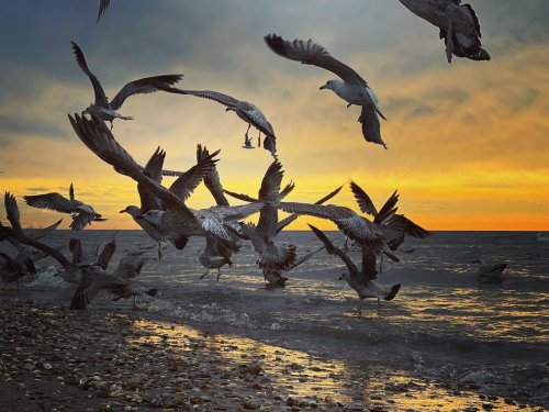Photo post from ditiskatwijk.