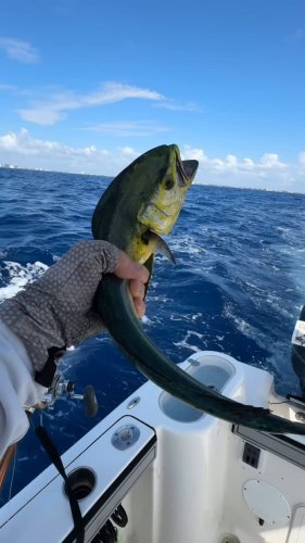 Video post from ejs_fishing_charters.